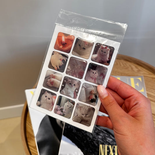 Phone case stickers 05